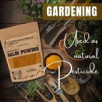 GreenDumbells Organics Turmeric Powder 100g | Haldi Powder - Image 6
