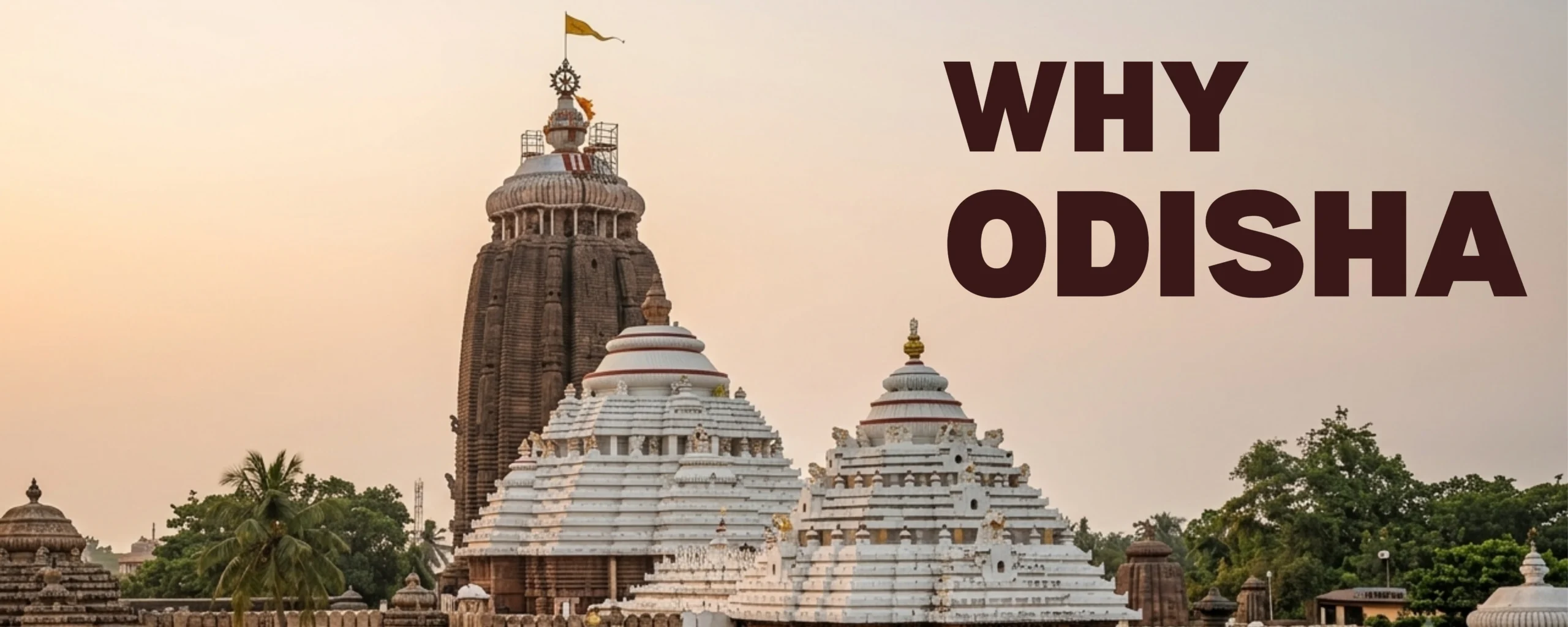 Why Odisha